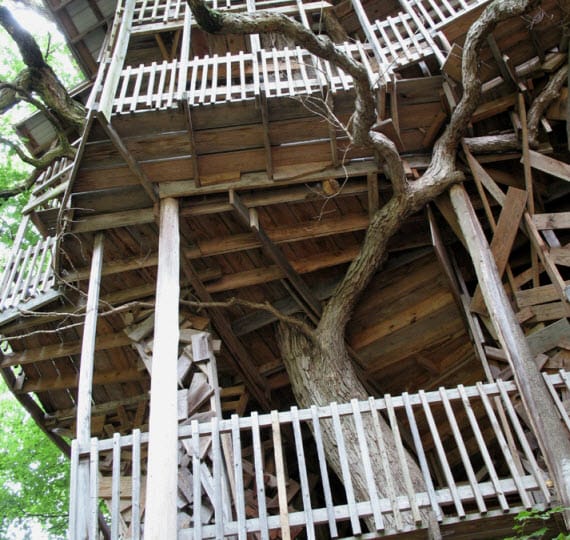 tree-house-3
