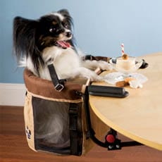 The Pet High Chair