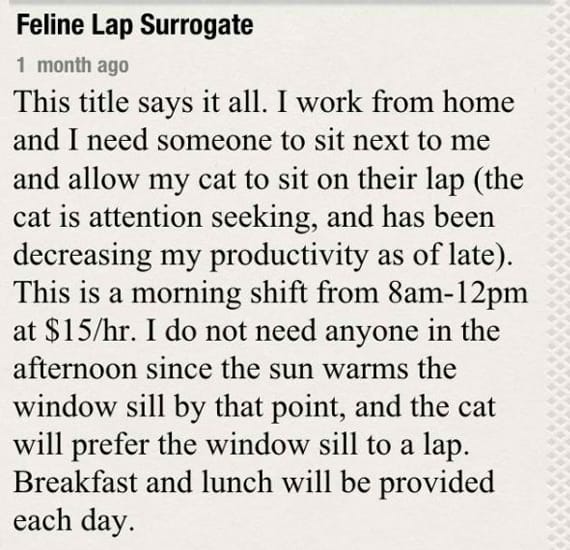 Help Wanted: Feline Lap Surrogate