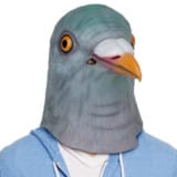 Pigeon Mask
