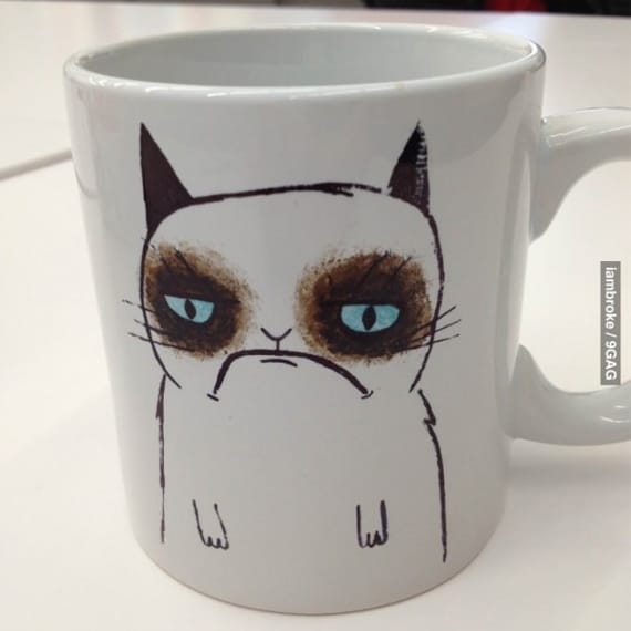 Grumpy Before Coffee? So Is This Cat