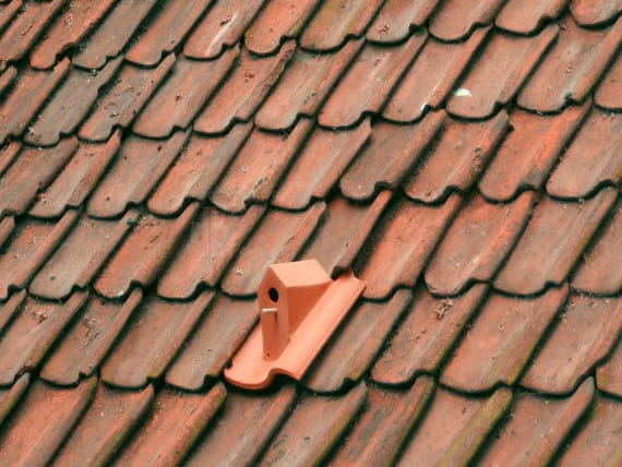 The Birdhouse Rooftile Is For The Birds
