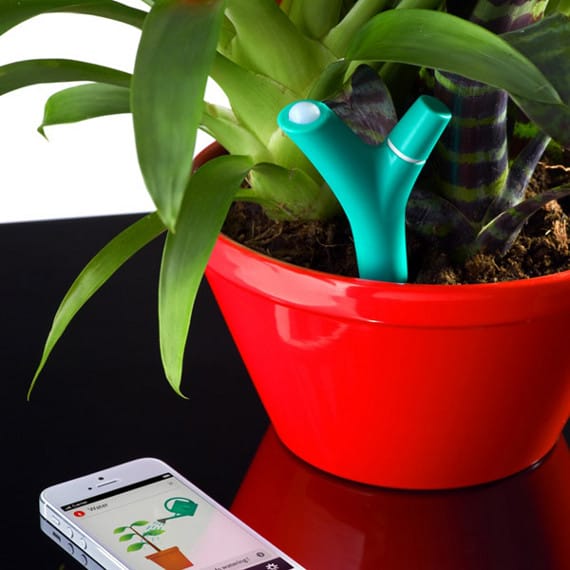 Doodad Reminds You To Water Your Plants