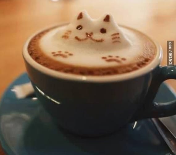 Purrfect 3D Latte Art