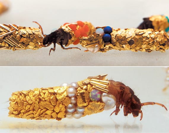 French Artist Tricks Bugs Into Making Gold Sculptures