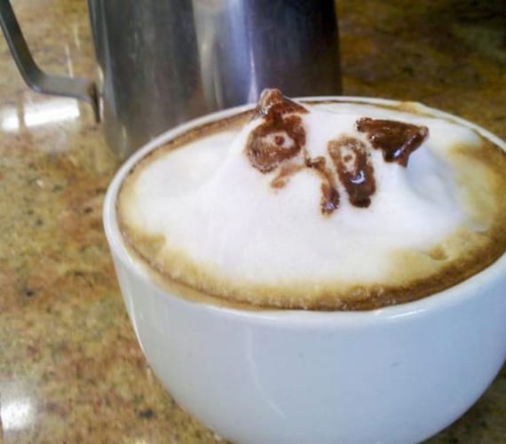 3D Grumpy Cat Latte Art