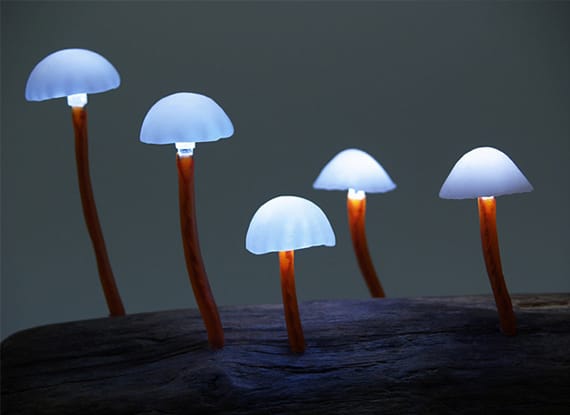 LED-Mushroom-Lights-5