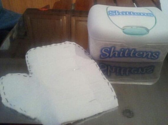 Shittens Are Toilet Paper Mittens