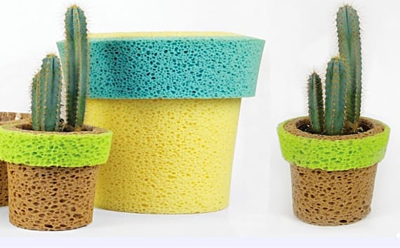Sponge Pots Soaked Plants