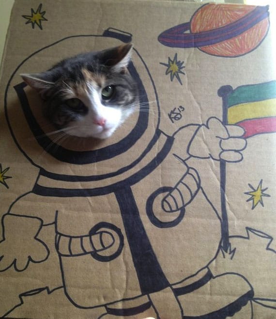 cardboard-cat-costume-3