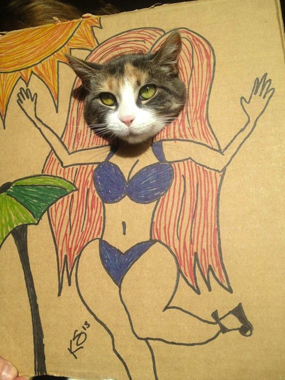 cardboard-cat-costume-5