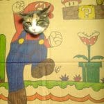 LOL IRL: Cardboard Cat Costumes