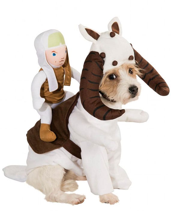 star-wars-dog-costumes-3