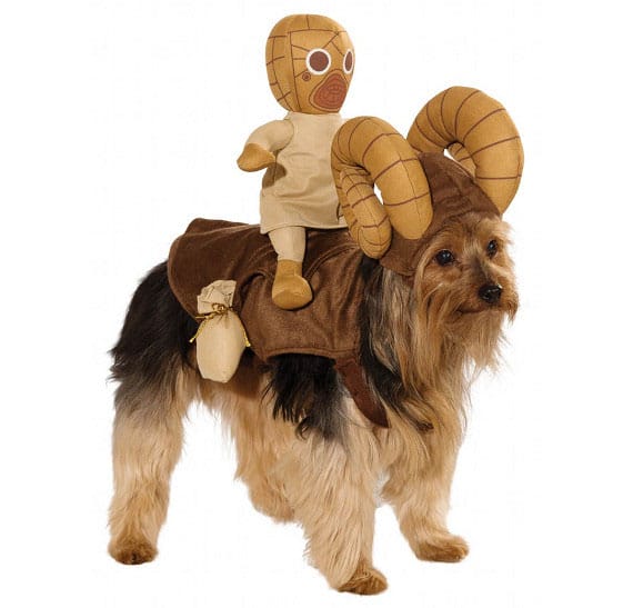 Star Wars Costumes For Your Pup