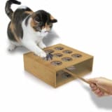 Whack-A-Mole Game For Cats