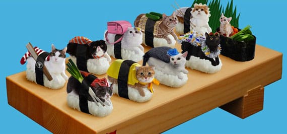 sushi-cats-2