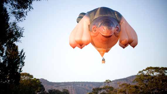 whale-hot-air-balloon-breasts-2