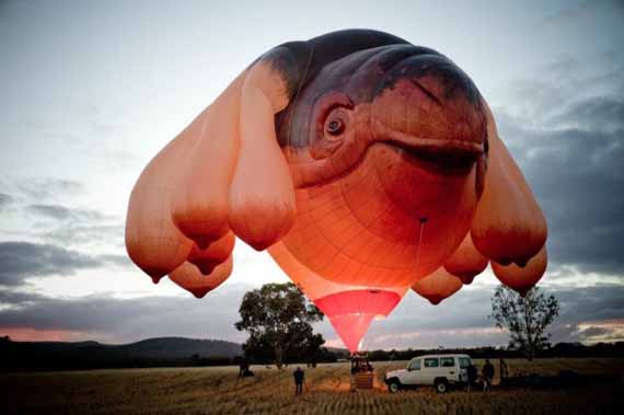 Whale Hot Air Balloon With Boobs