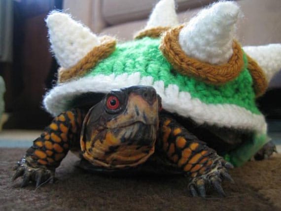 A Bowser Costume For Your Turtle