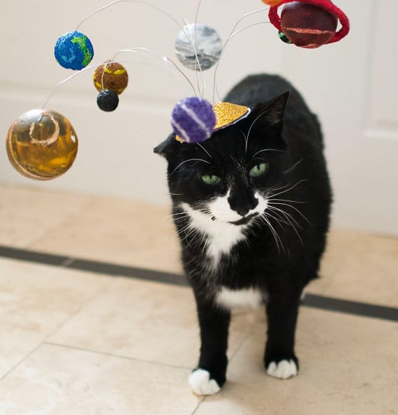cat-hat-solar-system-space-2