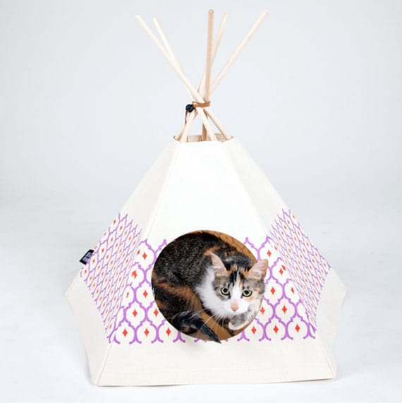 Cat Tents: Fur Camping With Your Kitty