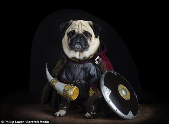 pug-lord-of-the-rings-costumes-3