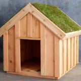 Living Roof Dog House