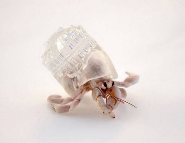 hermit-crab-shell-sculptures-2