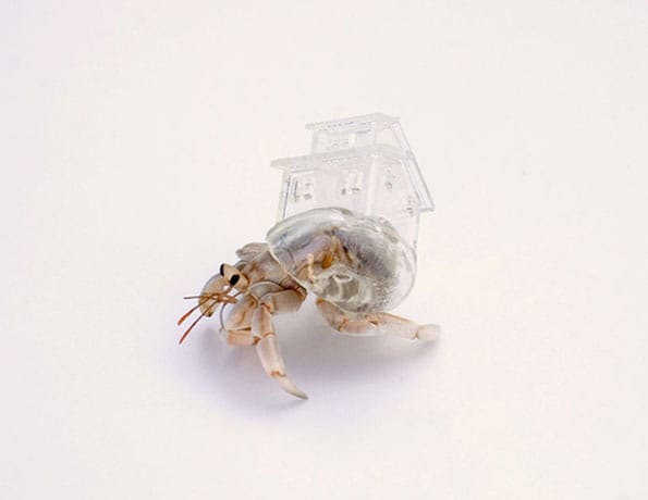 hermit-crab-shell-sculptures-3