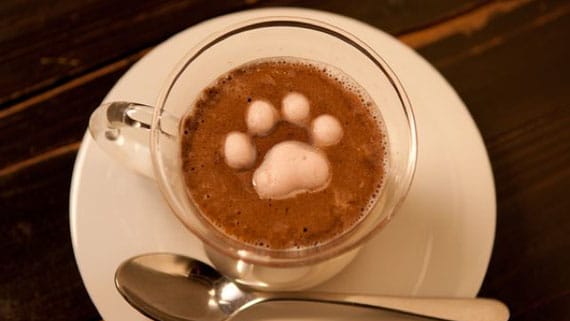 marshmallow-latte-art-kitty-4