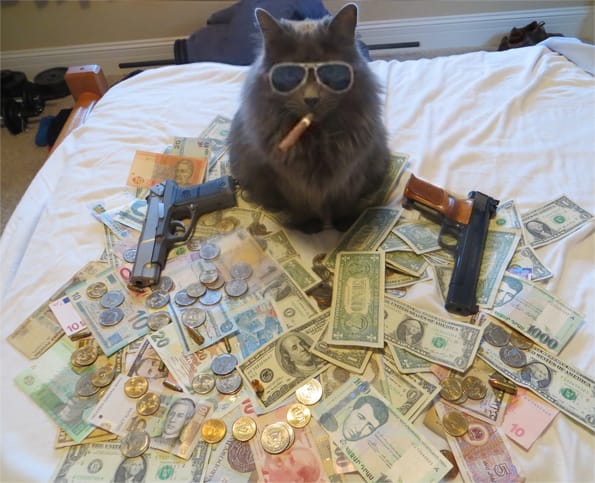 Caption This: Cash Cat [Closed]