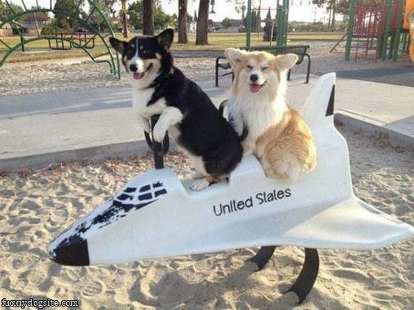 Caption This: Rocket Dogs [Closed]