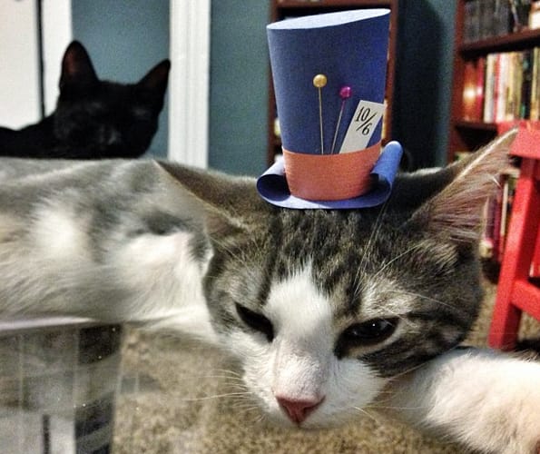 Cats-in-paper-hats-6