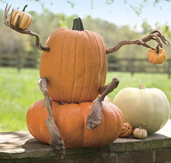 You Need Poseable Pumpkin Arms & Legs