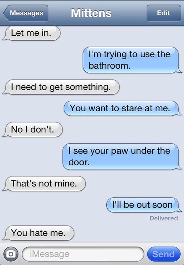 Texts From Your Cat