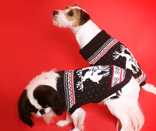 Doggy Style Reindeer Christmas Sweater