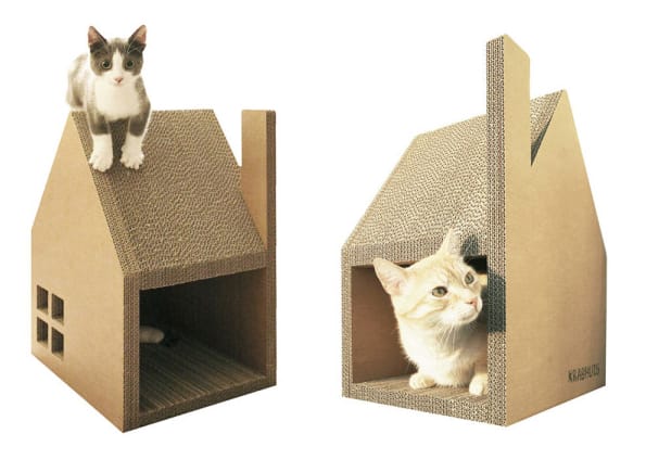 Scratch-House-cats-2