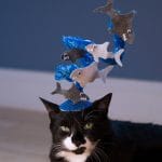 Sharknado Cat Hat
