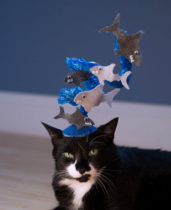 Sharknado Cat Hat