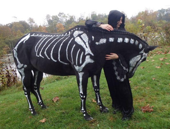 Horse Painted Like A Skeleton