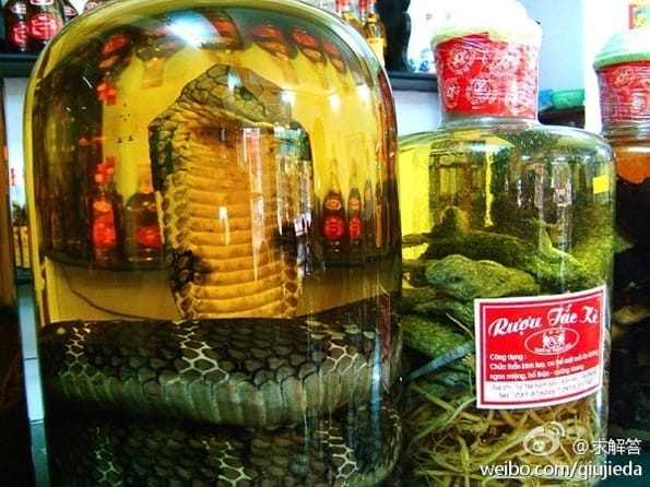 Snake Marinating in Wine for 3 Months Bites Woman