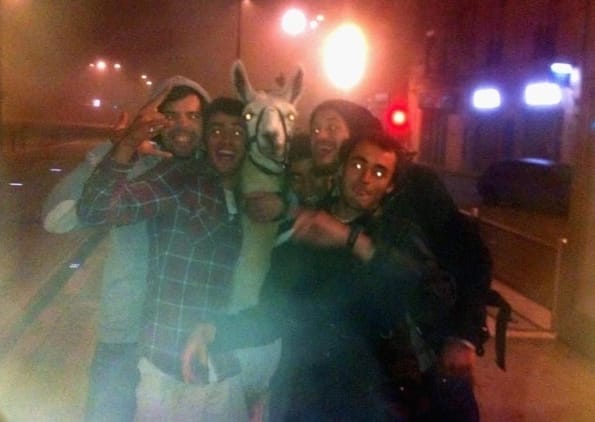 Some Drunk French Teens Partied with a Stolen Llama