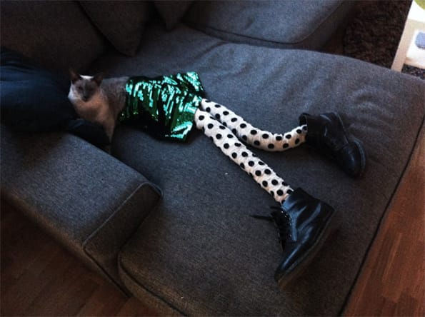 cats-wearing-tights-2