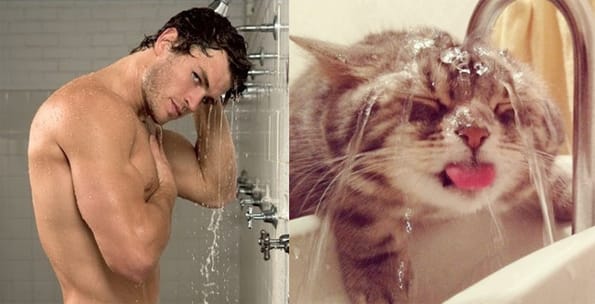 male-models-and-kittens-3