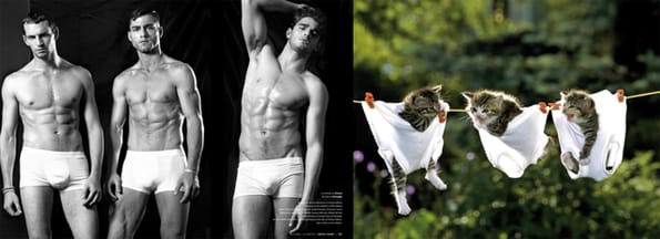 male-models-and-kittens-7