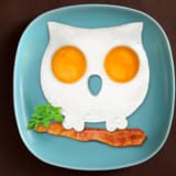 Owl Egg Shaper