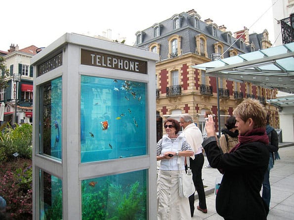 phone-booth-fish-tank-aquarium-2