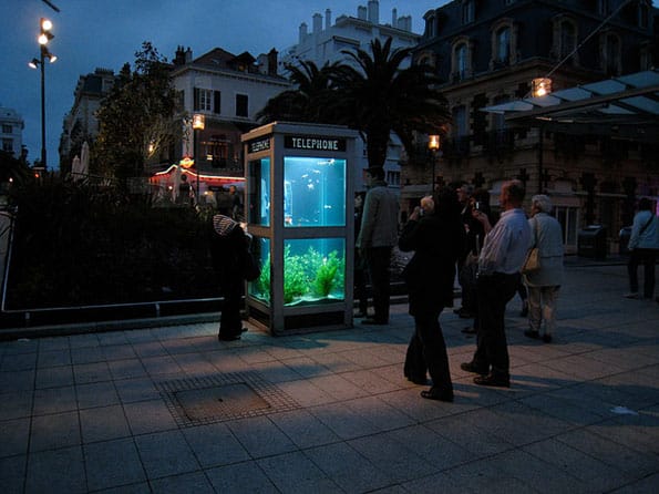 phone-booth-fish-tank-aquarium-3