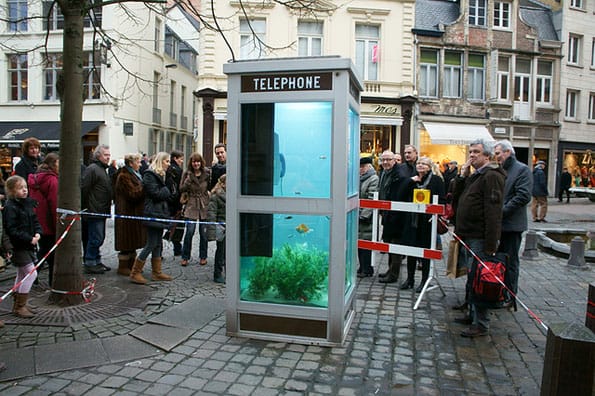 phone-booth-fish-tank-aquarium-6