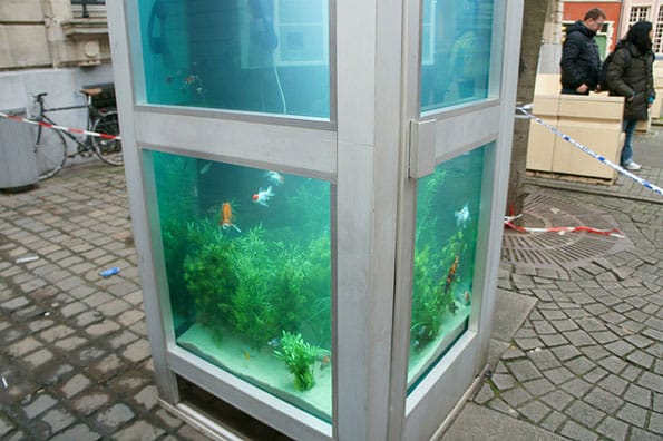 phone-booth-fish-tank-aquarium-7